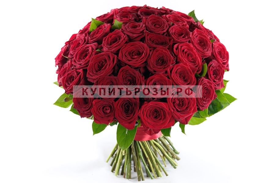 Букет роз Классика жанра из 51 розы